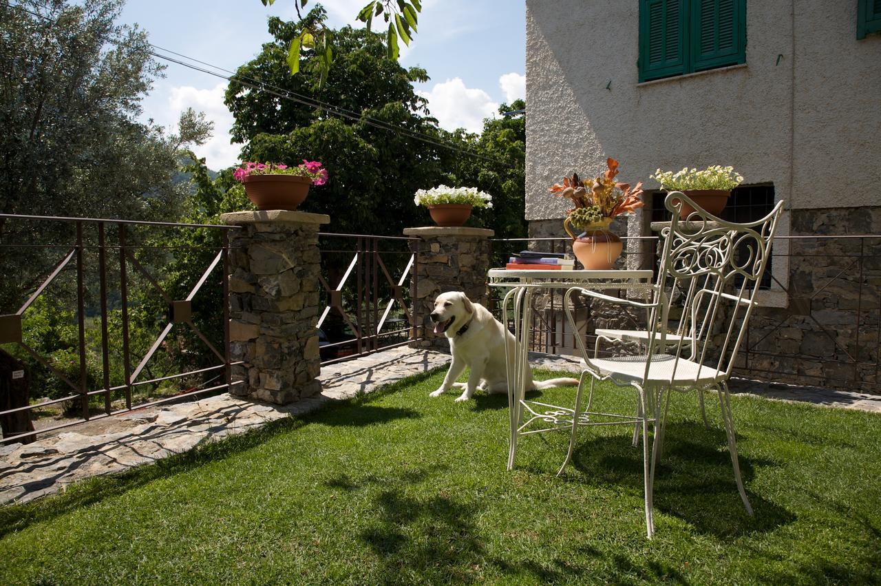 La Casa Dei Nonni Castelbianco Bed & Breakfast Colletta Екстериор снимка