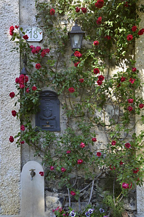 La Casa Dei Nonni Castelbianco Bed & Breakfast Colletta Екстериор снимка