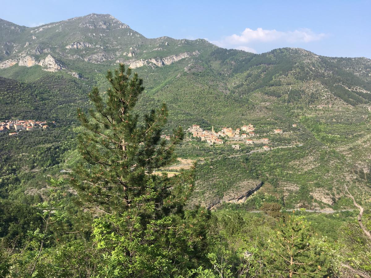 La Casa Dei Nonni Castelbianco Bed & Breakfast Colletta Екстериор снимка